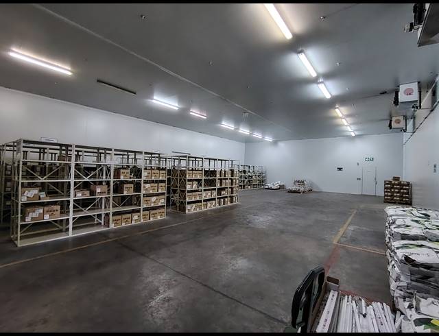 21,491M² WAREHOUSE TO LET IN GOSFORTH PARK